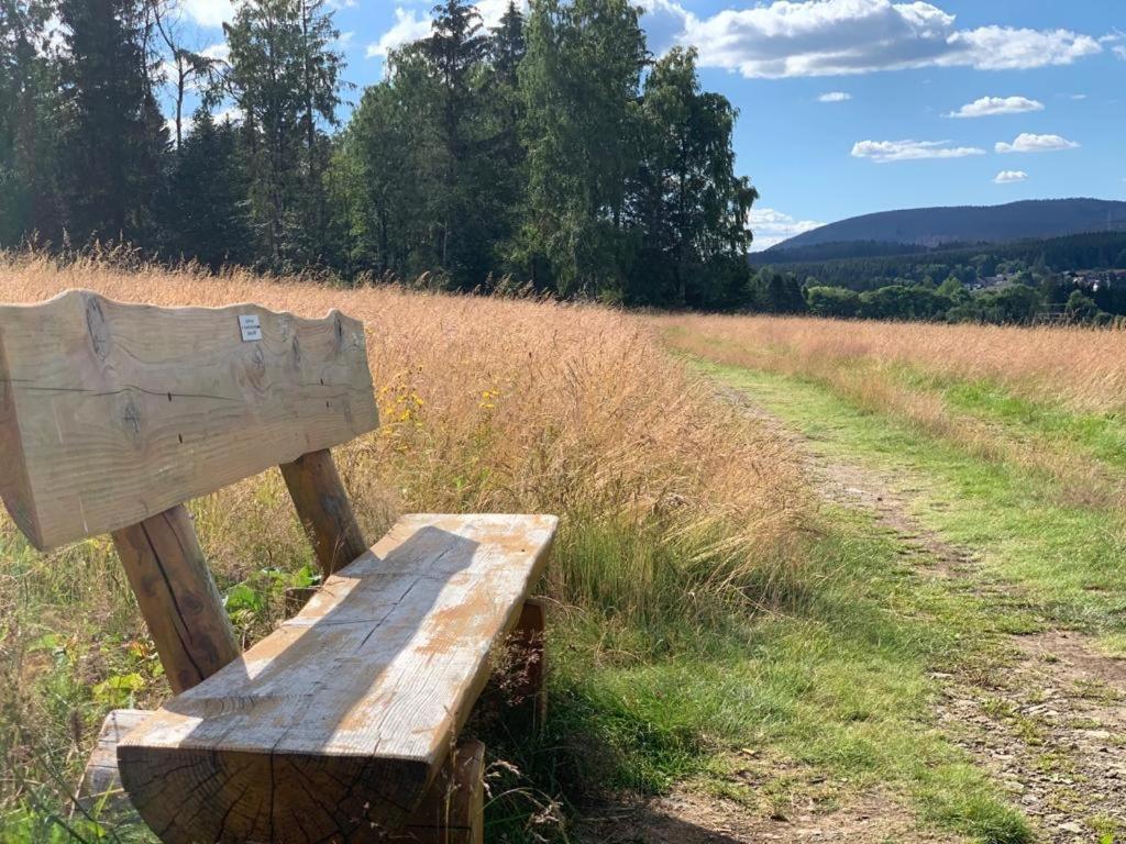 Fuehl Dich Wohl Apartment Braunlage Bagian luar foto
