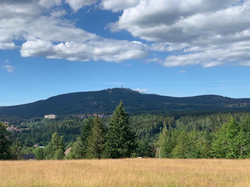 Fuehl Dich Wohl Apartment Braunlage Bagian luar foto